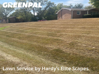 Lawn Servicein Hendersonville,37075,Lawn Service by Hardy’s Elite Scapes, work completed in Nov , 2025