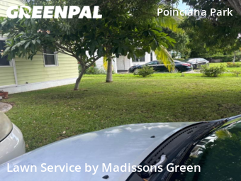 Grass Cut nearby West Palm Beach, FL, 