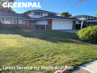 Yard Grooming in Mayfield Heights, 44124, Mowing Services by Wells And Son, work completed in Nov , 2025