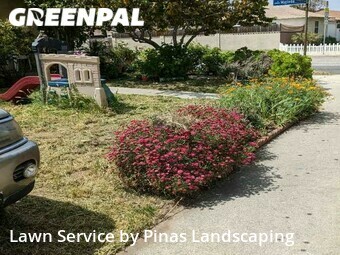 Yard Mowing nearby Norwalk, AZ, 