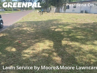 Grass Cutting nearby St. Petersburg, FL, 
