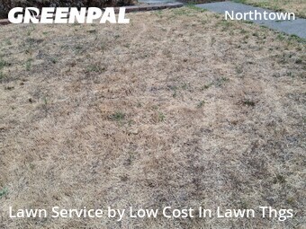 Lawn mowed in Spokane, 99205