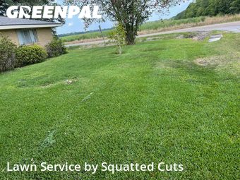 Grass Cut nearby Duson, LA, 