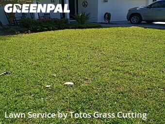 Yard Mowing nearby Orlando, FL, 