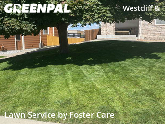 Lawn Mow nearby Westminster, CO, 