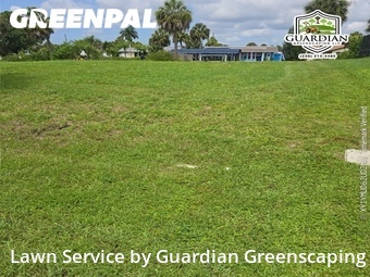 Yard Cutting nearby Port Charlotte, FL, 