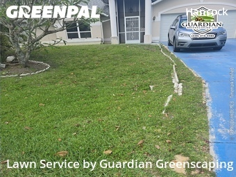 Backyard Landscaping In Cape Coral,33990,Landscaping Services by Guardian Greenscaping, work completed in Apr , 2026