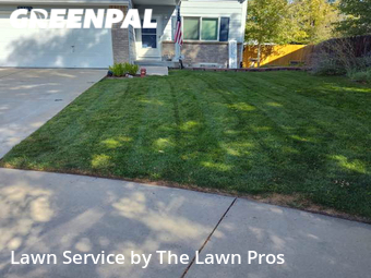 Lawn Maintenance nearby Thornton, CO, 