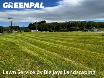 Grass Cutting nearby Roanoke, VA, 