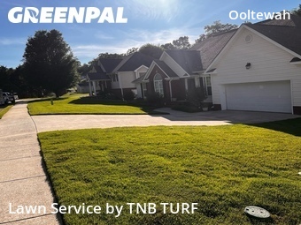 Lawn Maintenance nearby Ooltewah, TN, 