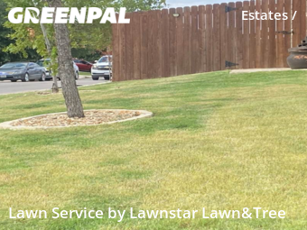 Yard Mowing nearby San Antonio, TX, 