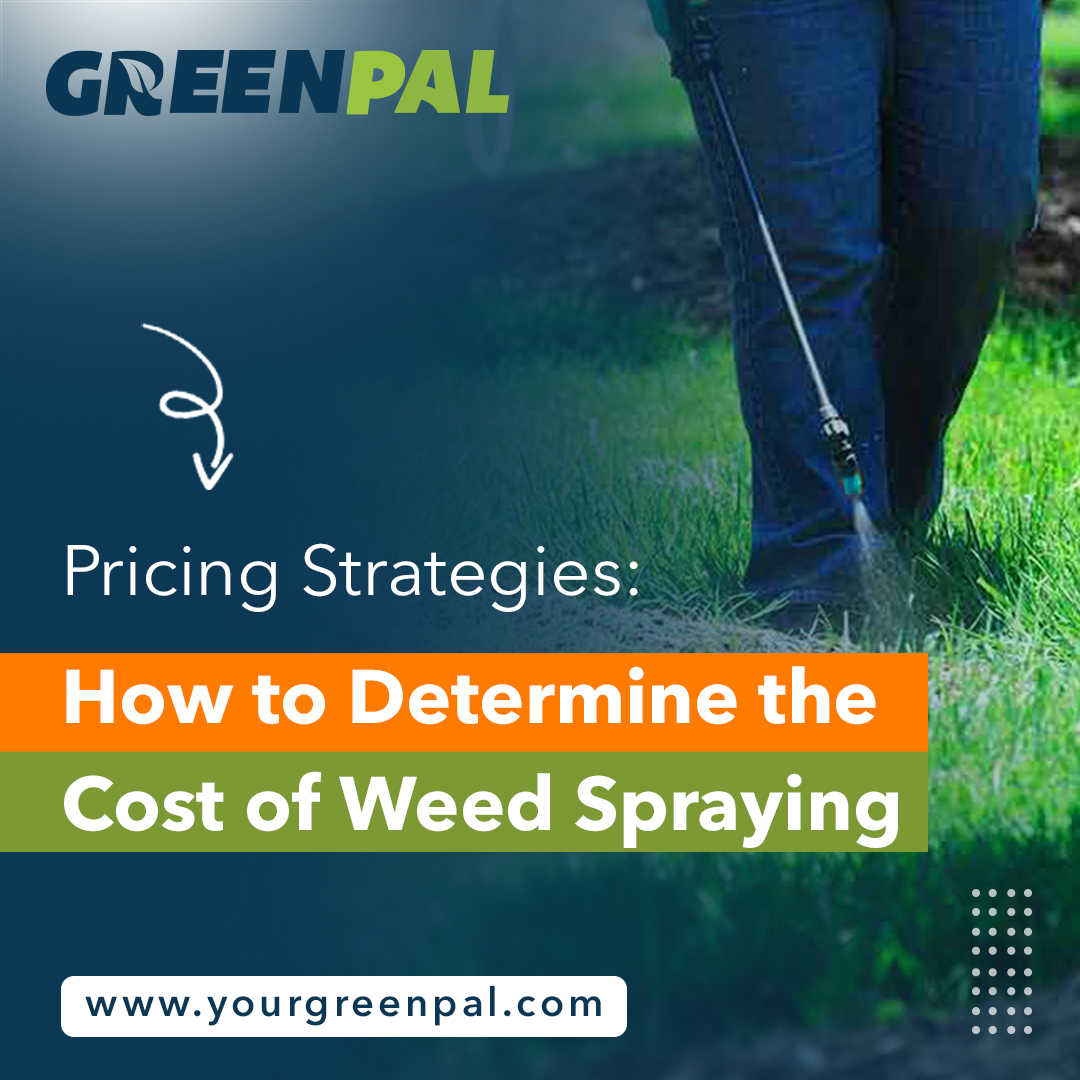 How to Price Weed Spraying Services A Comprehensive Guide for Lawn