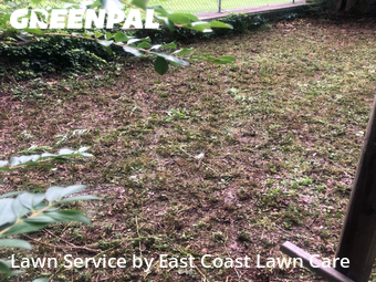 Yard Mowing nearby Atlanta, GA, 