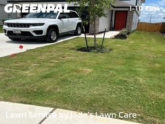 Lawn Care Service nearby Adkins, TX, 