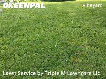 Lawn Service nearby Kansas City, MO, 