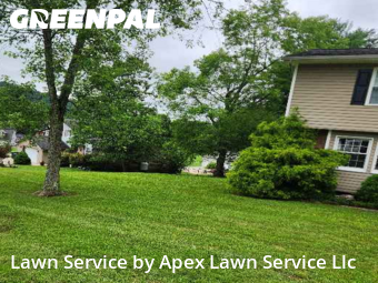Grass Cutting nearby Kingsport, TN, 
