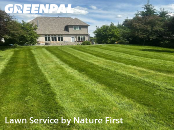 Grass Cut nearby Carmel, IN, 