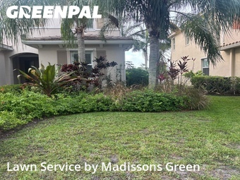 Grass Cutting nearby Wellington, FL, 