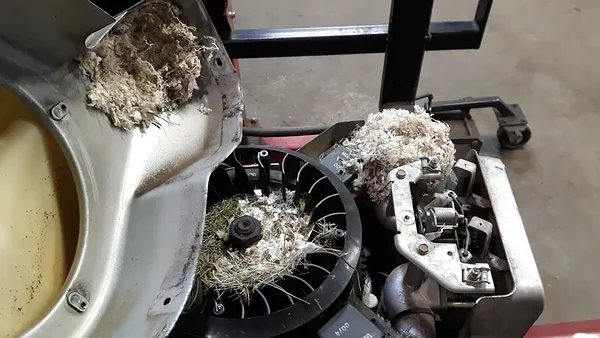 AFAB small engine repair LLC Photo 6