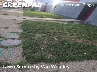 Local Lawn And Landscape Maintenance Services Near Me In Philadelphia,19140,Landscaping Cleanup by Van Woolley, work completed in Oct , 2025