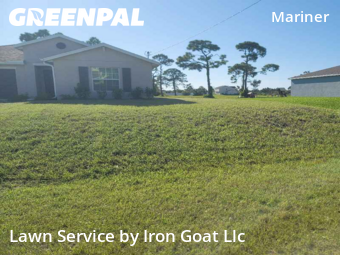 Grass Cut nearby Cape Coral, FL, 