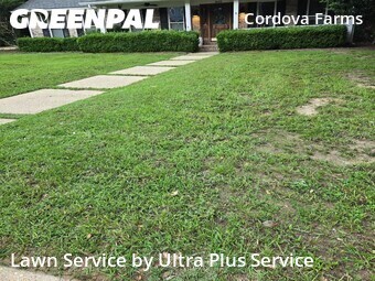 Lawn Care Service nearby Pensacola, FL, 
