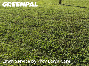 Lawn Cut nearby St. Cloud, FL, 