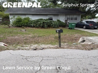 Lawn Care nearby Tampa, FL, 