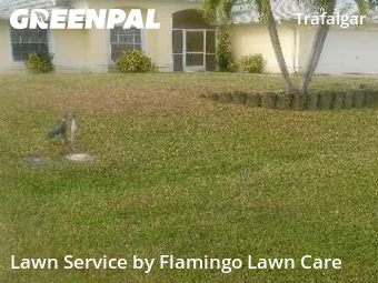 Landscaping Maintenance In Cape Coral,33914,Landscaping by Flamingo Lawn Care, work completed in Dec , 2025