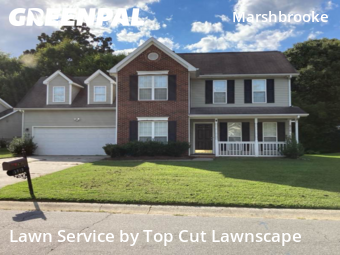 Yard Cutting nearby Matthews, NC, 