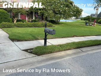 Lawn Mow nearby Trinity, FL, 