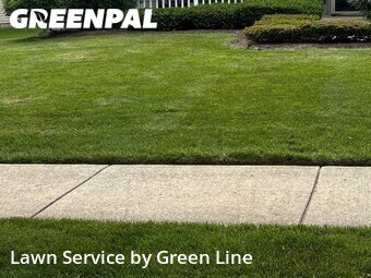 Grass Cut nearby Woodridge, IL, 
