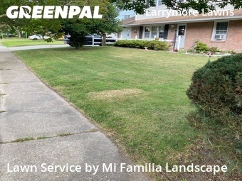 Grass Cut nearby Norfolk, VA, 