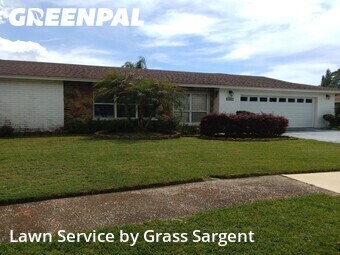 Lawn Care Service nearby Palm Harbor, FL, 