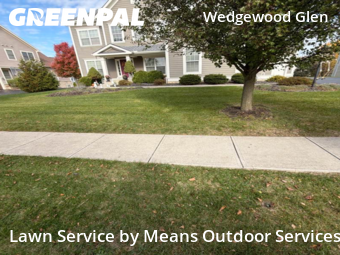 Yard Mowing in Dublin, 43016, Weed Trimming by Means Outdoor Services, work completed in Nov , 2025