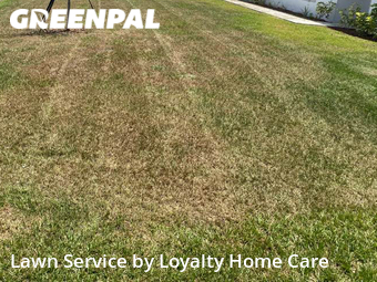 Lawn Care nearby Melbourne, FL, 