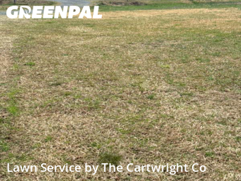 Yard Mowing nearby Sanford, NC, 