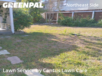 Yard Mowing nearby San Antonio, TX, 