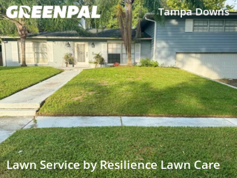 Lawn Care Service nearby Wesley Chapel, FL, 