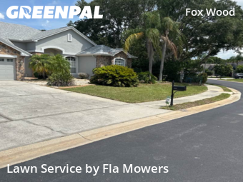 Lawn Mow nearby Trinity, FL, 