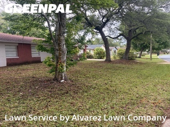 Lawn Care nearby Apopka, FL, 