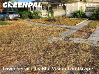 Lawn Maintenancein Tampa,33614,Lawn Mowing Service by Blu' Vision Landscape, work completed in Nov , 2025