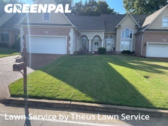 Grass Services in Jackson, 38305, Lawn Management by Theus Lawn Service, work completed in Oct , 2025