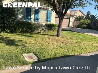 Lawn mowing work completed in Rocklin, CA