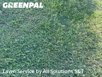 Lawn Care nearby Winter Haven, FL, 