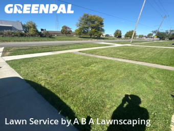 Grass Cut nearby Roseville, MI, 