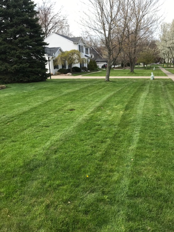 Lawn Mowing Contractor in Lakewood, OH, 44107