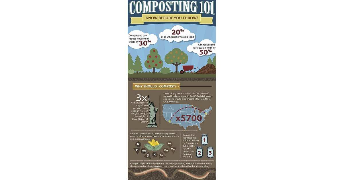 Composting 101: An Infographic of Info You Need To Know Before