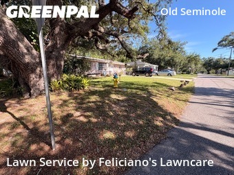Grass Cut nearby Tampa, FL, 