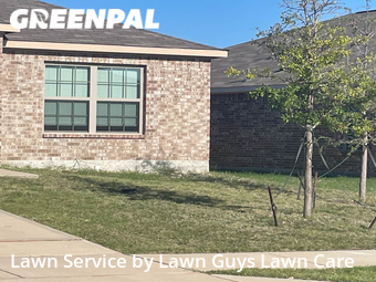 Yard Mowing nearby Forney, TX, 